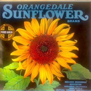 2 Brand New Tin Vintage Orangedale Orange Citrus